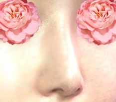 완벽했던 코재수술