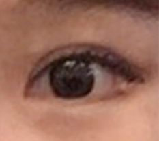 순딩순딩 강아지 눈 너무 예뻐여 ㅠㅠㅠ ♥
