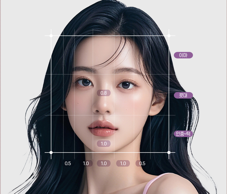 이상적인 얼굴 비율 분석 다이어그램